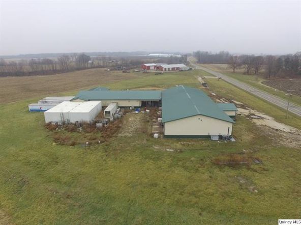 Big River Fish Corporation: 30402 State Highway 107, Griggsville, IL 62340